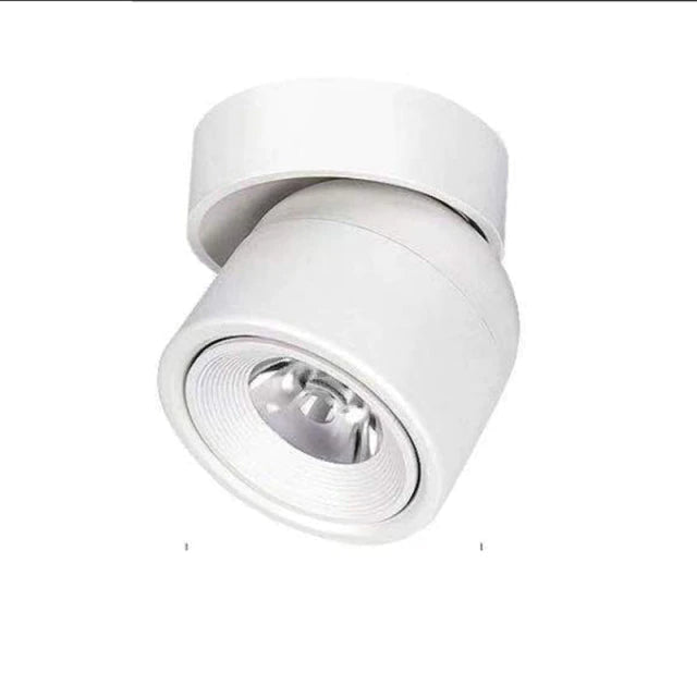 LED Light with 340° Rotating Spotlight Head and Dimmable Function