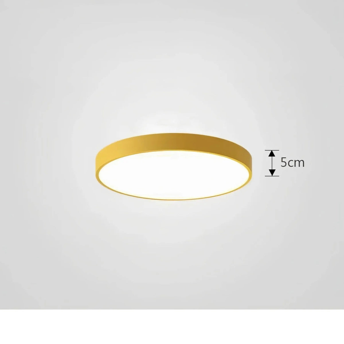 Ceiling Light with Stepless Dimming and Remote Control Option