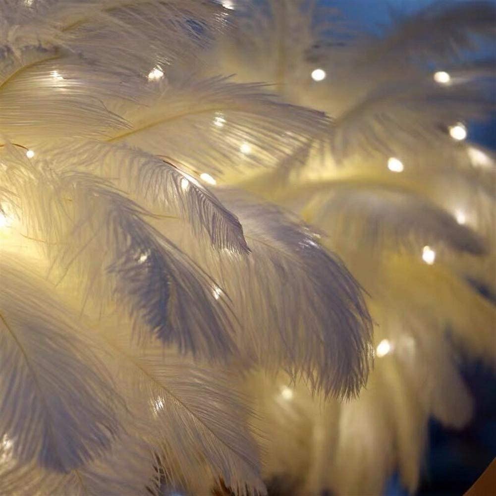 Feather Lamp with Rose Gold Base and Battery or USB Power - view 7