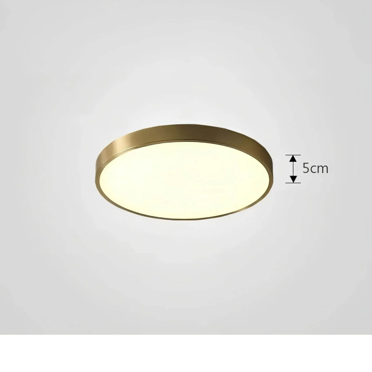 Ceiling Light with Stepless Dimming and Remote Control Option