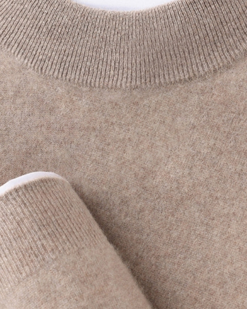 Men's Fine-Texture High-Neck Long-Sleeve Sweater - Brown